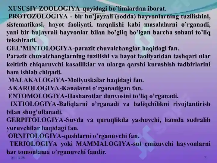 Product slide 7