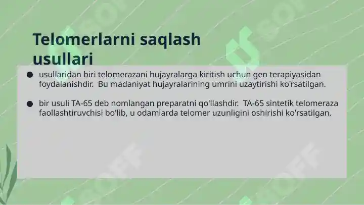 Product slide 5