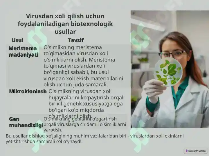 Product slide 7