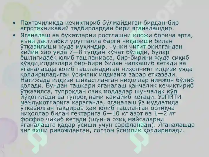 Product slide 5