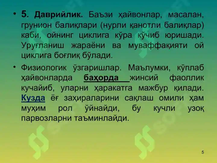 Product slide 5