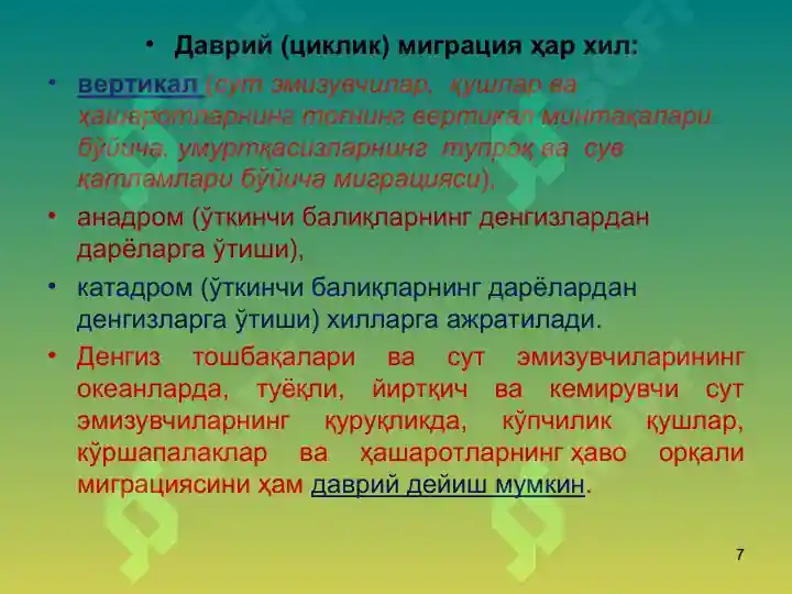 Product slide 7