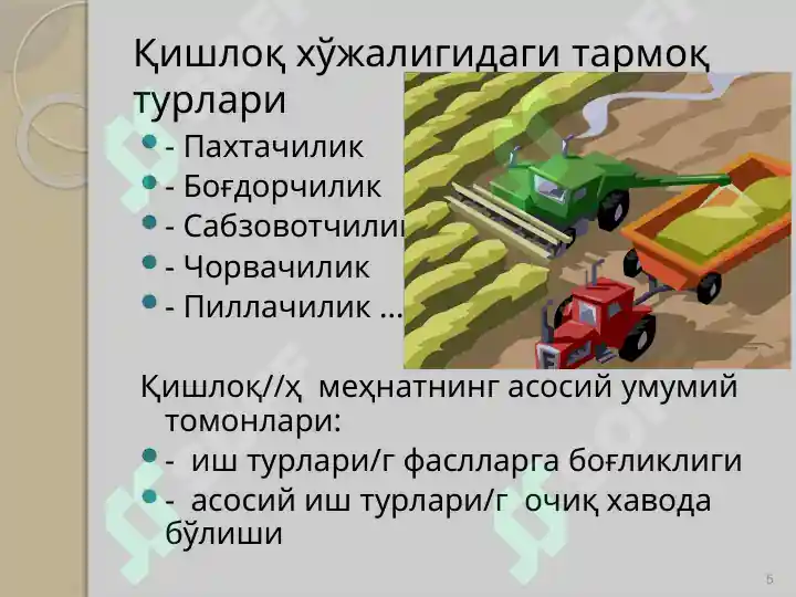 Product slide 5