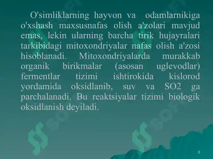 Product slide 8