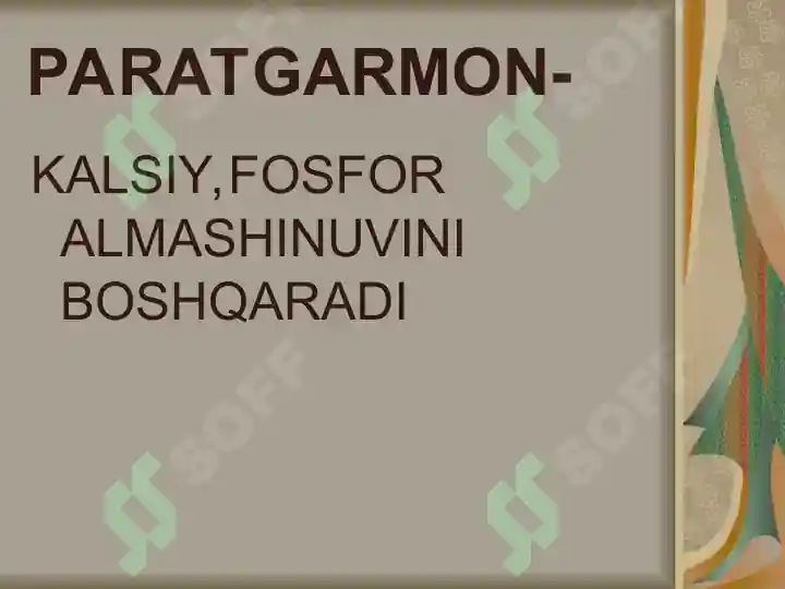 Product slide 7
