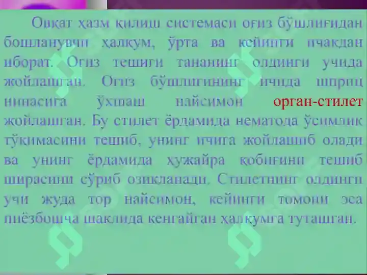 Product slide 8