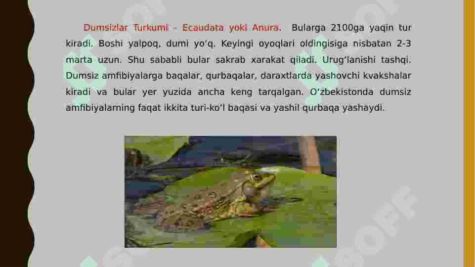 Product slide 6