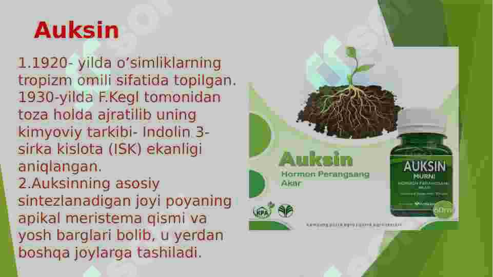 Product slide 6