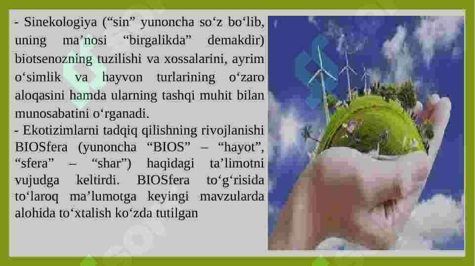 Product slide 7