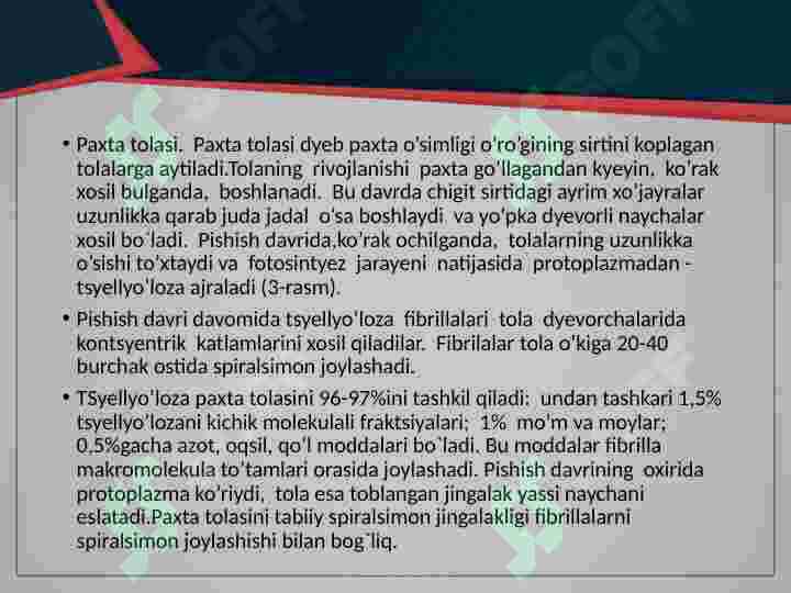 Product slide 7