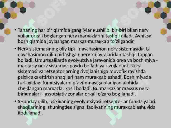 Product slide 6