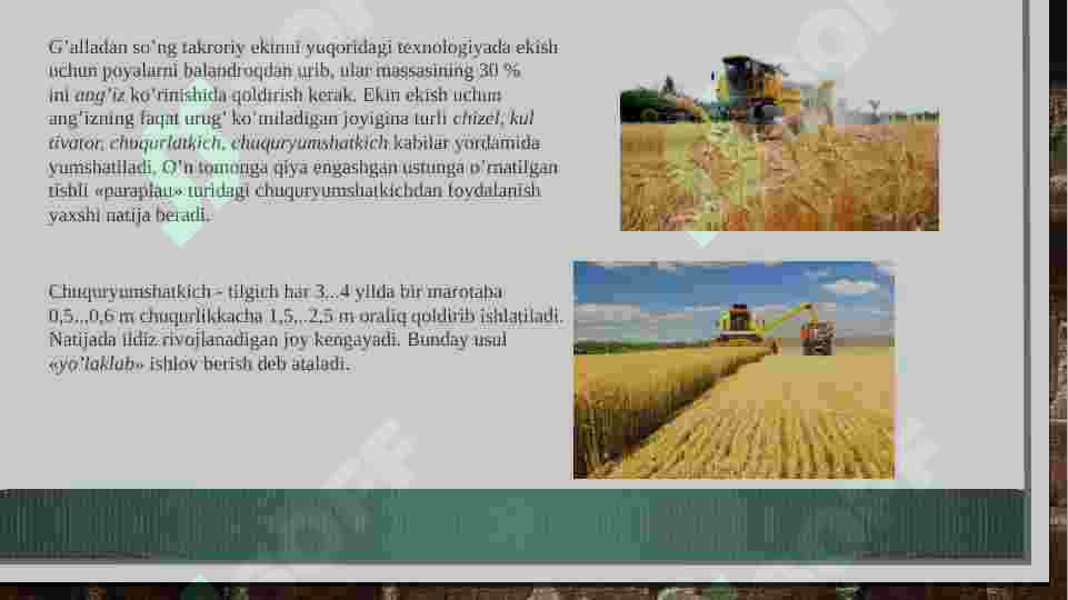 Product slide 8
