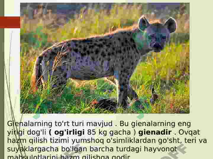 Product slide 8