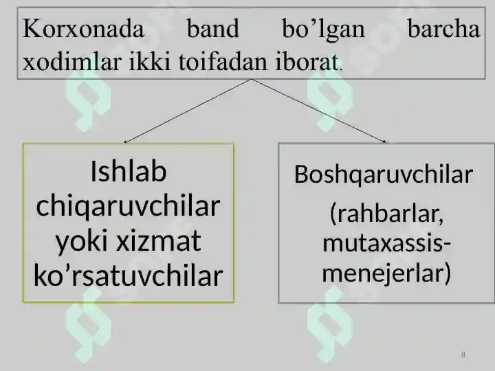 Product slide 8