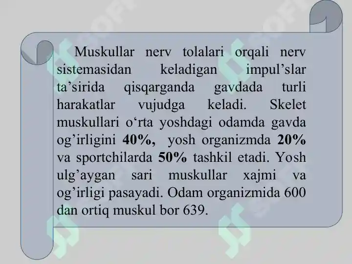 Product slide 5