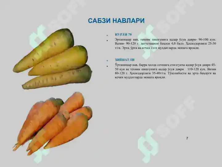 Product slide 7