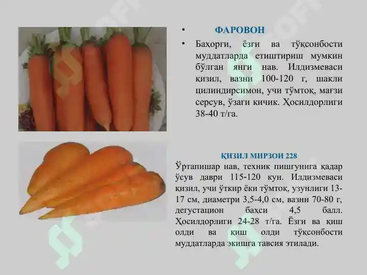 Product slide 8