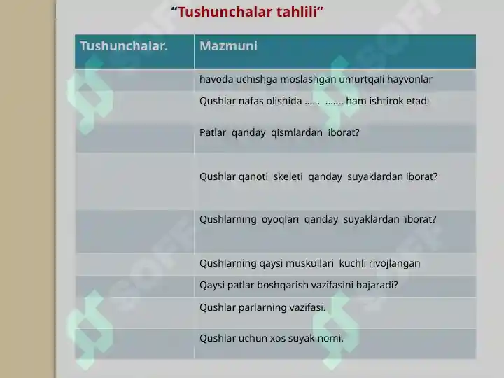 Product slide 6