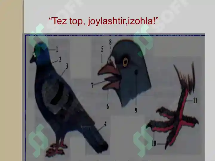 Product slide 7