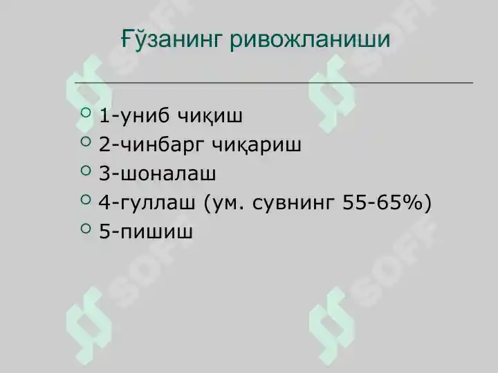 Product slide 5