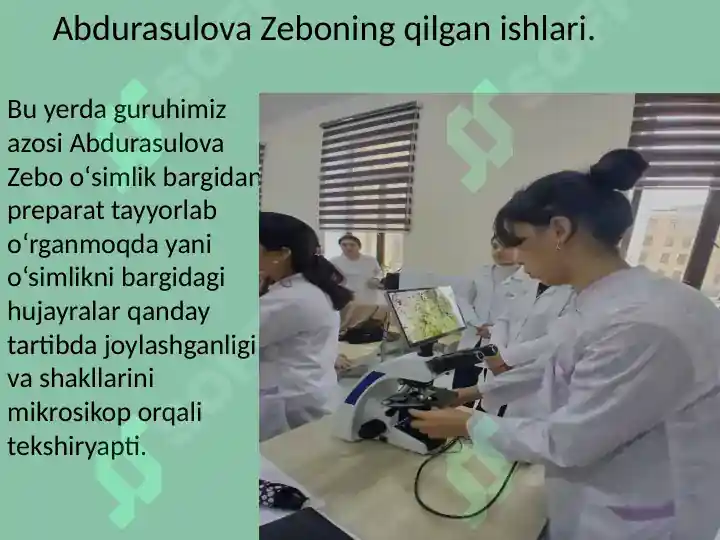 Product slide 7