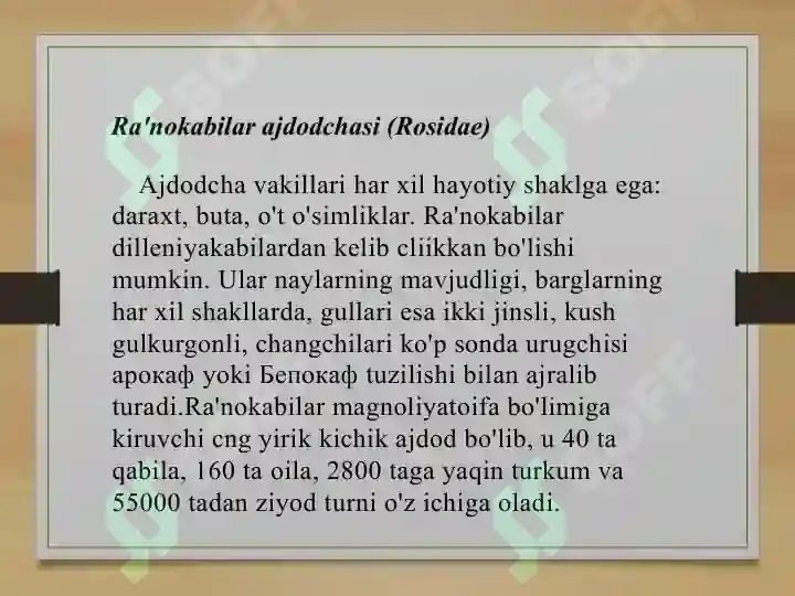 Product slide 6