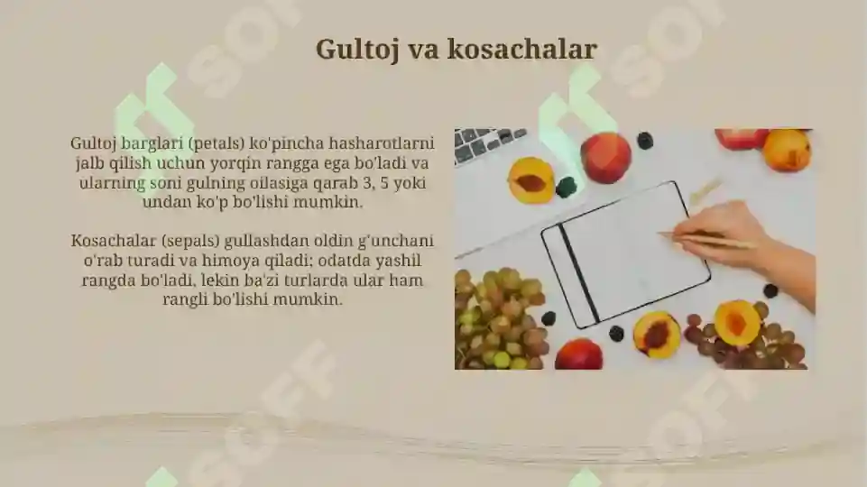 Product slide 5