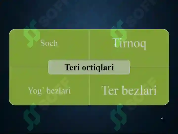 Product slide 6