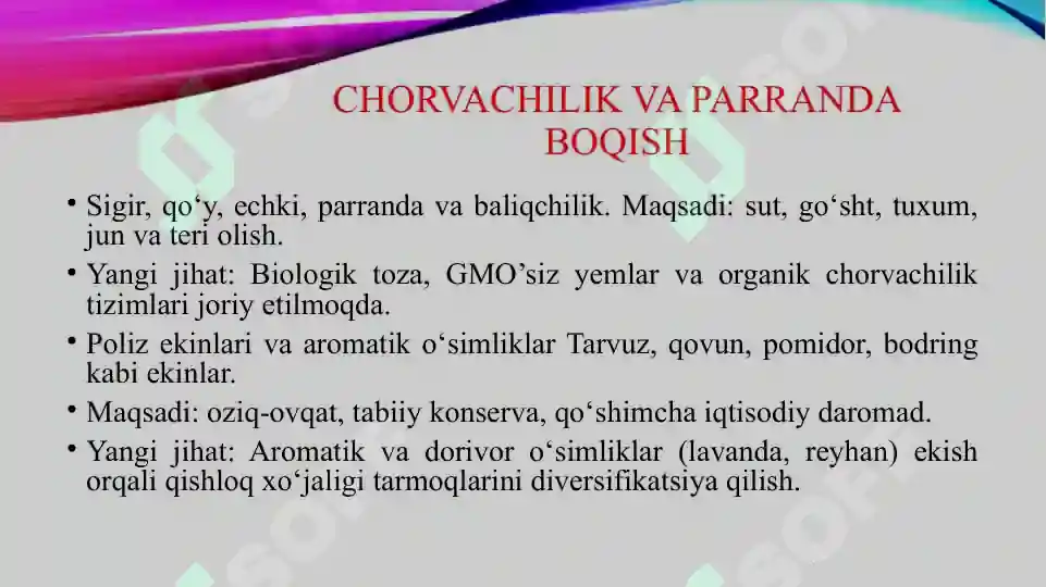 Product slide 6