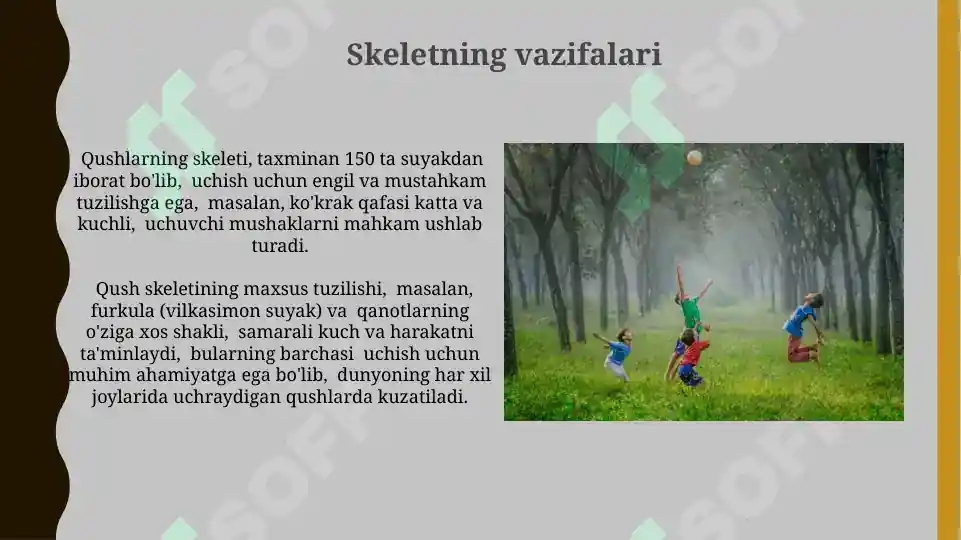 Product slide 7