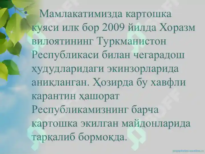 Product slide 8