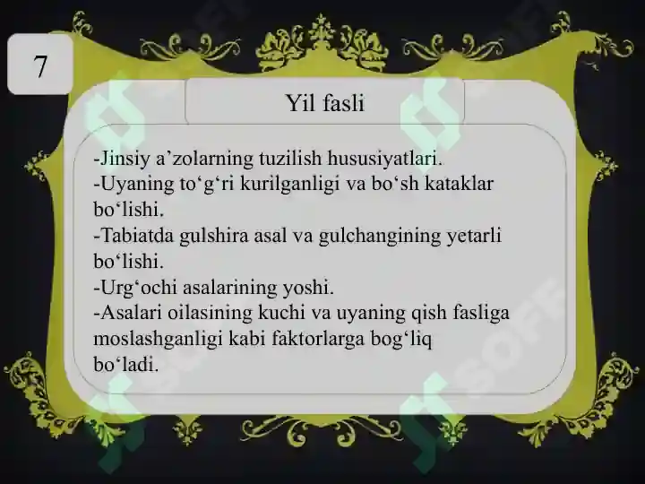 Product slide 7