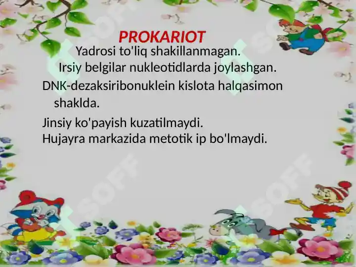 Product slide 6