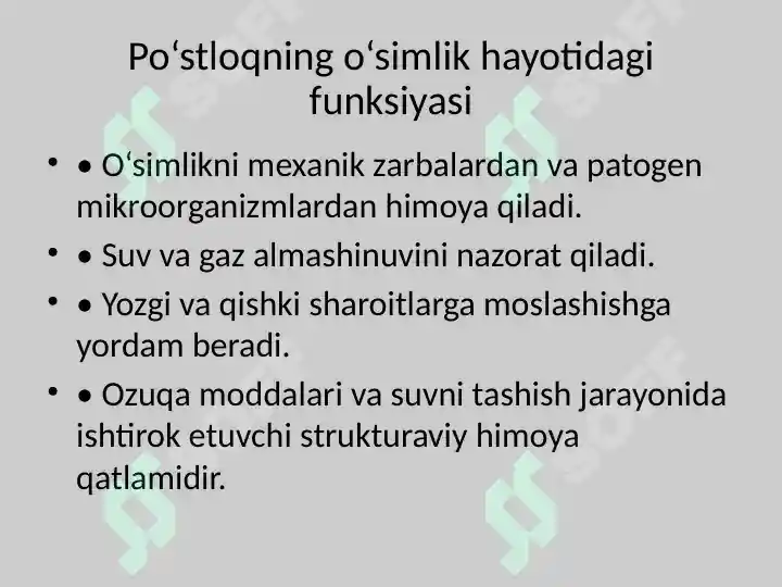 Product slide 8