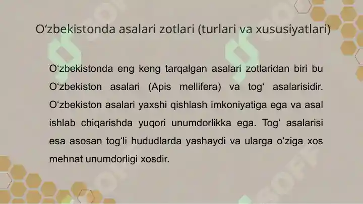 Product slide 7