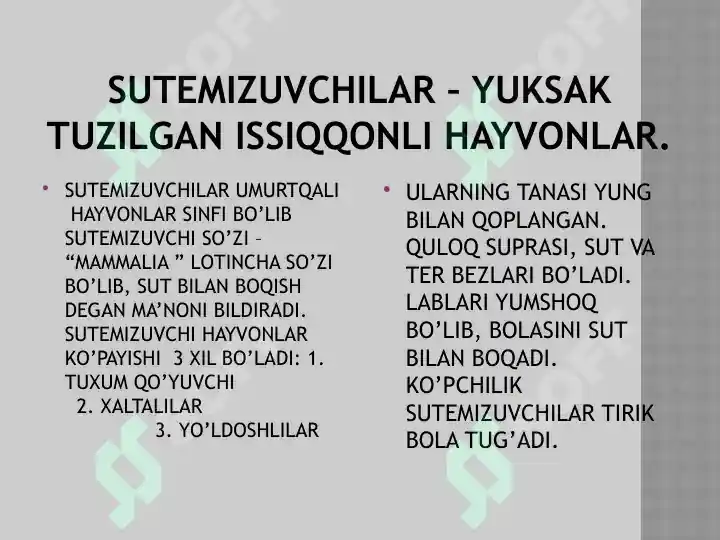 Product slide 2