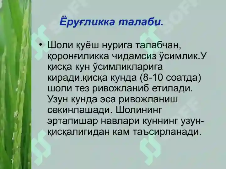 Product slide 8
