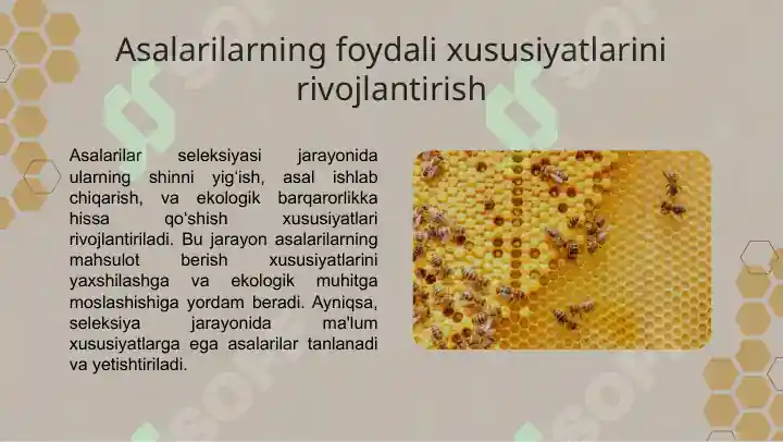 Product slide 8