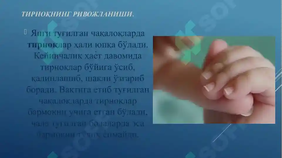 Product slide 8
