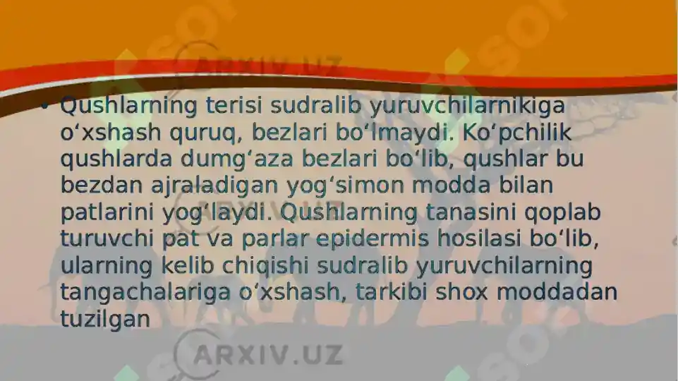 Product slide 8