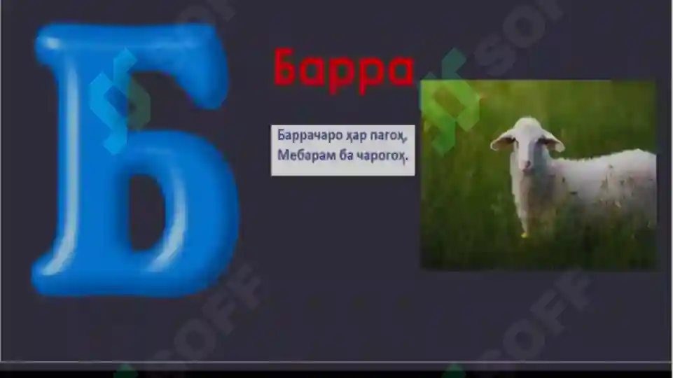 Product slide 5
