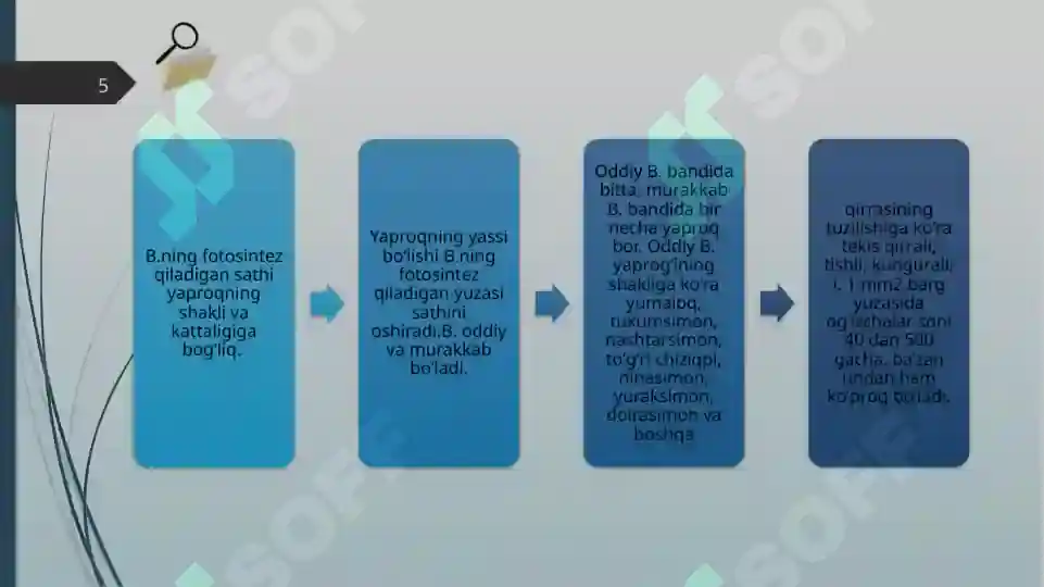 Product slide 5