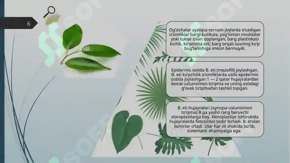 Product slide 6