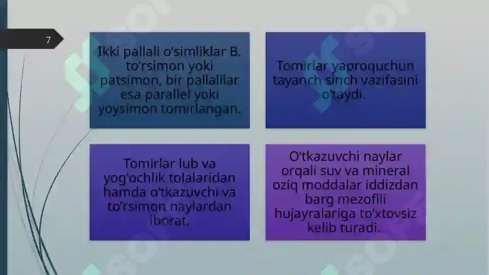 Product slide 7