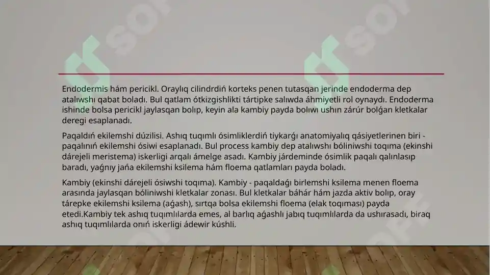 Product slide 5