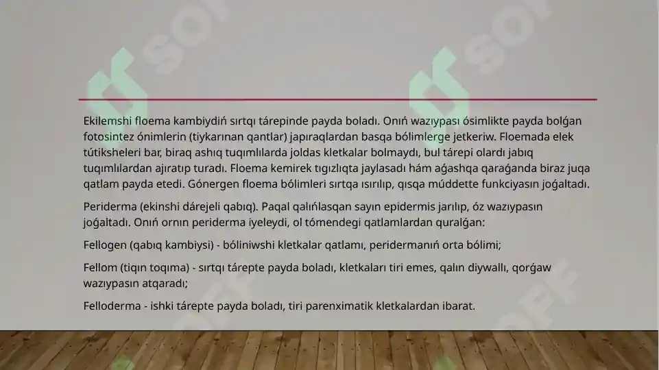 Product slide 7