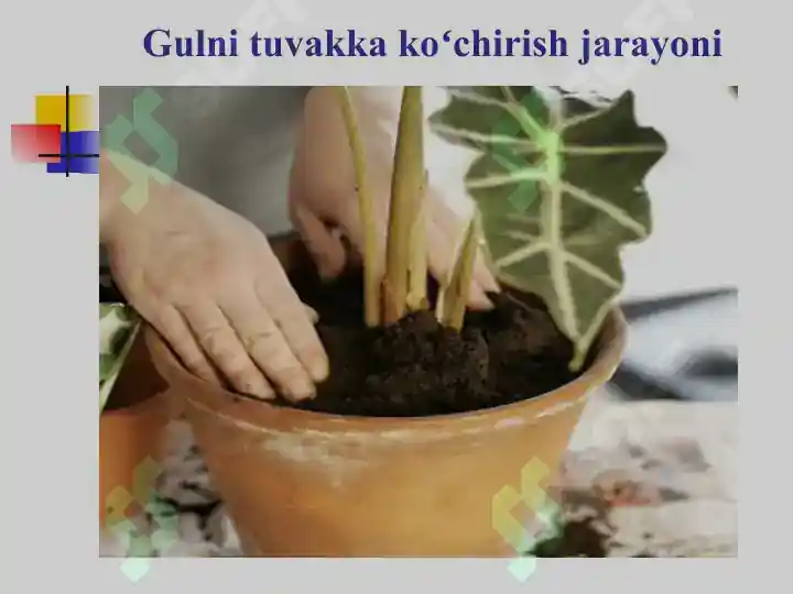 Product slide 7