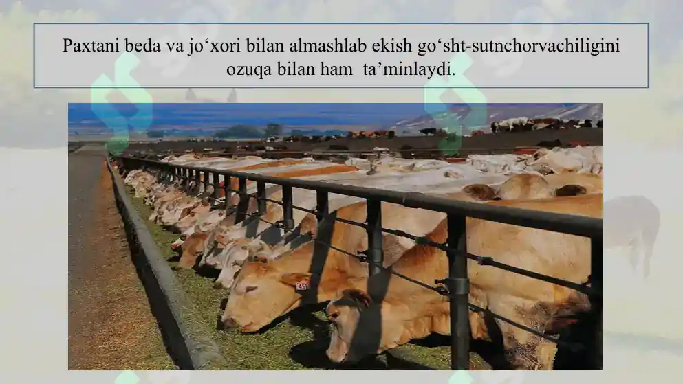 Product slide 7