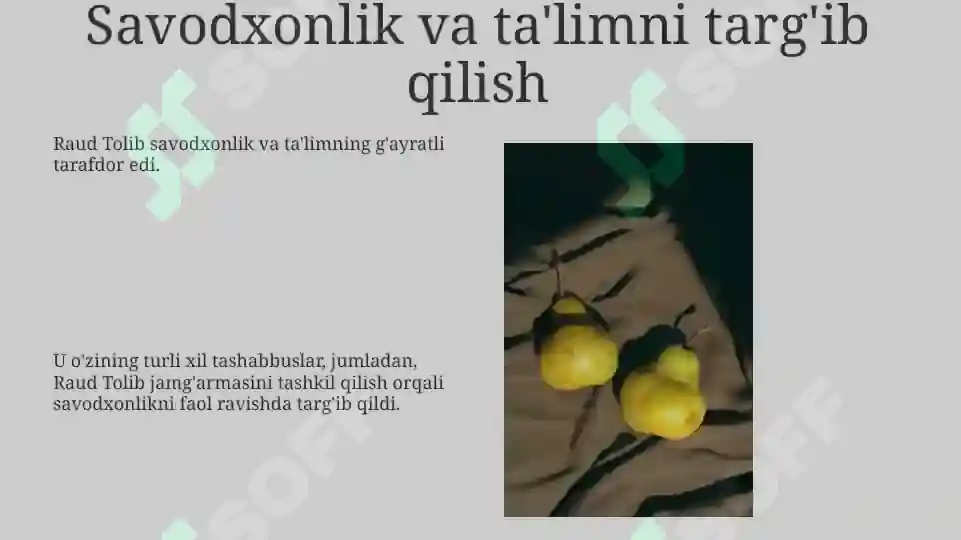 Product slide 8