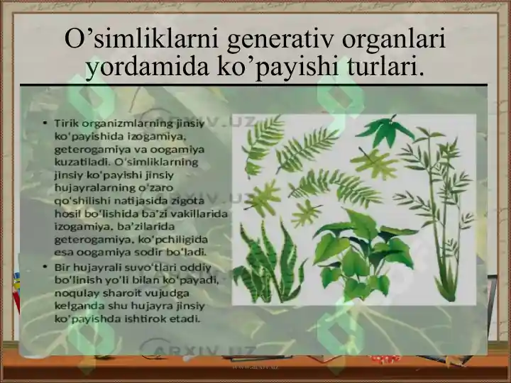 Product slide 8